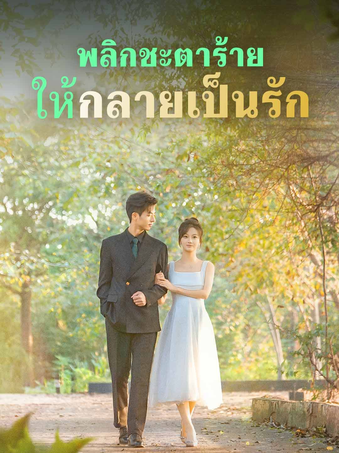 พลิกชะตาร้ายให้กลายเป็นรัก โปสเตอร์