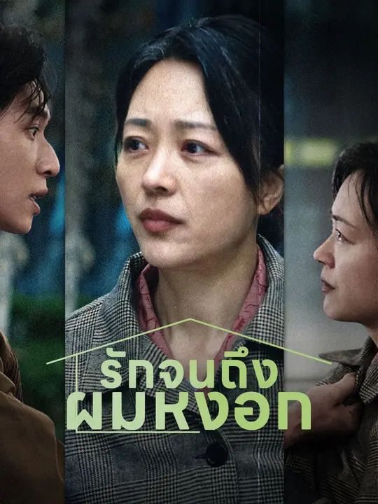 รักจนถึงผมหงอก โปสเตอร์