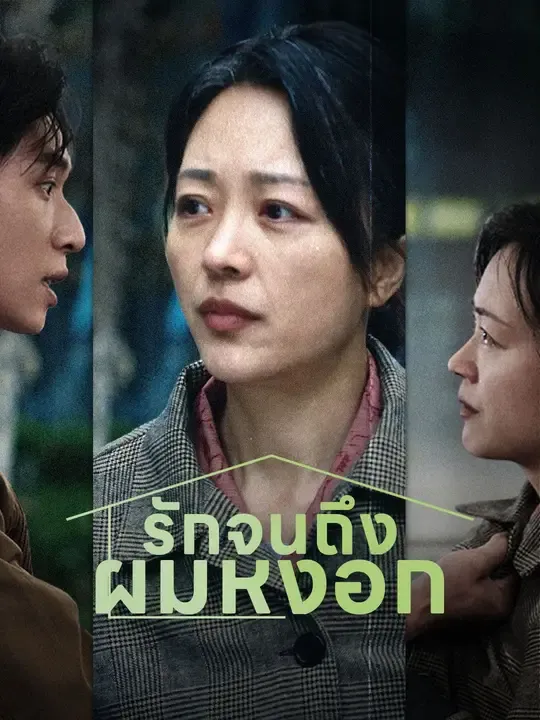 โปสเตอร์ซีรีส์ รักจนถึงผมหงอก - ดูซีรีส์จีนออนไลน์ฟรี