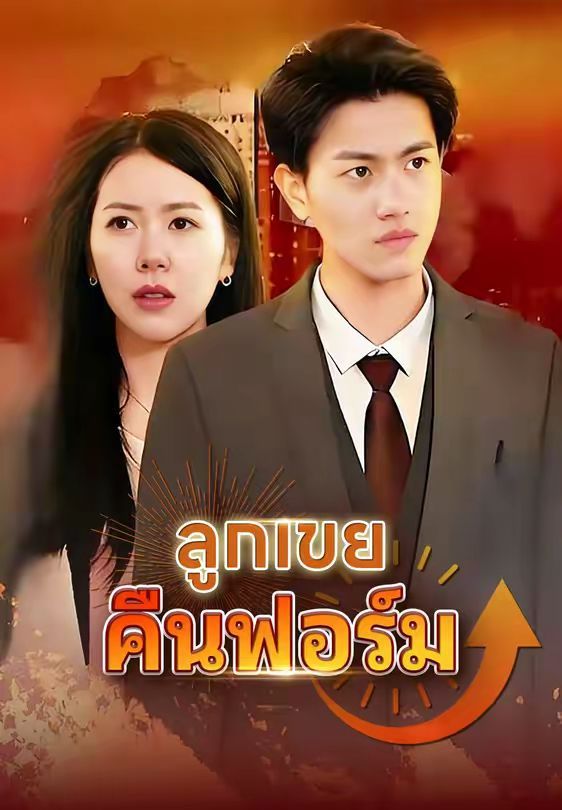 ลูกเขยคืนฟอร์ม โปสเตอร์