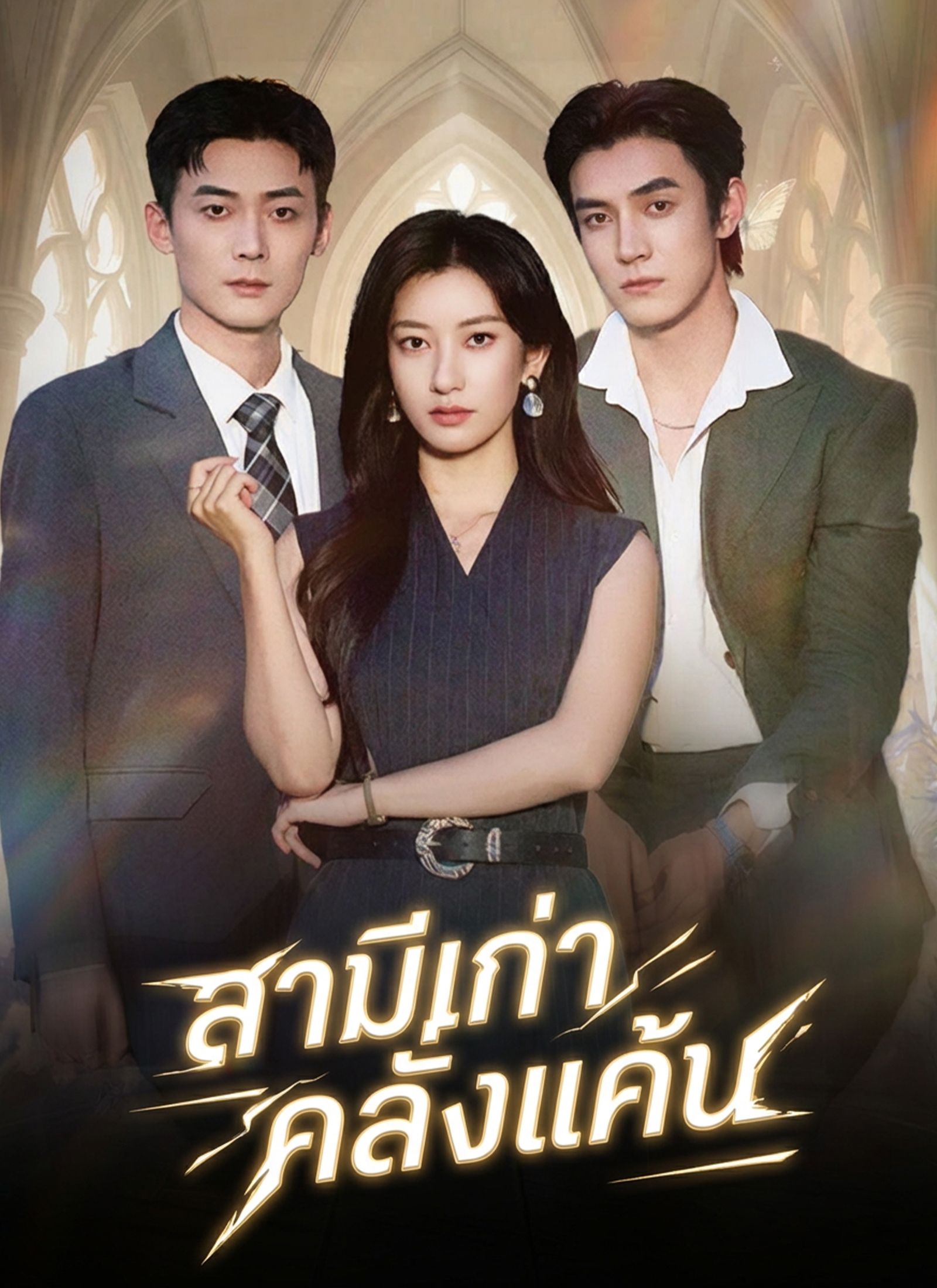 สามีเก่าคลั่งแค้น โปสเตอร์