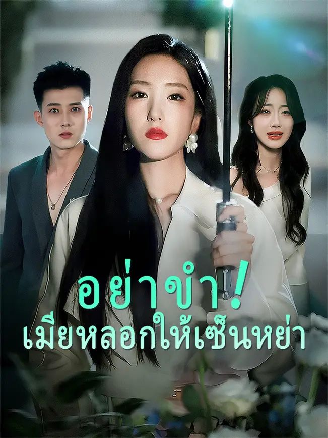อย่าขำเมียหลอกให้เซ็นหย่า โปสเตอร์