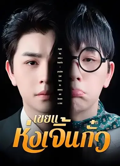 โปสเตอร์ซีรีส์ เขยแห่งเจิ้นกั๋ว - ดูซีรีส์จีนออนไลน์ฟรี