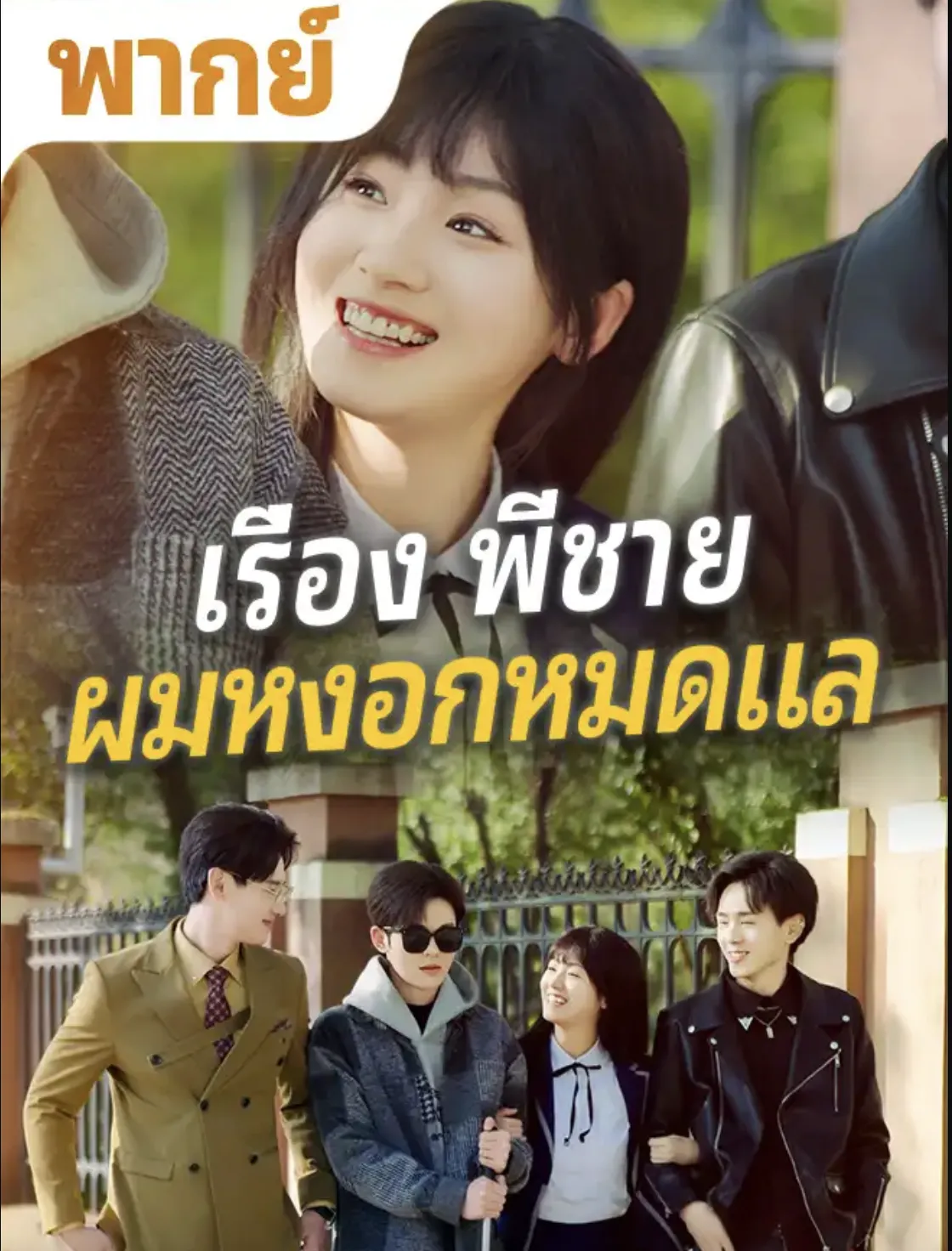 เรื่องพี่ชายผมหงอกหมดแลth