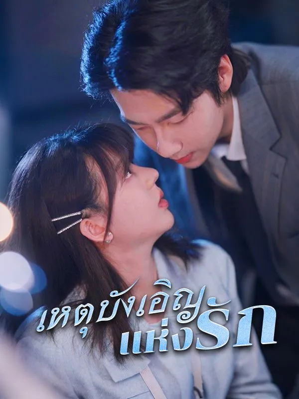 เหตุบังเอิญแห่งรักsub