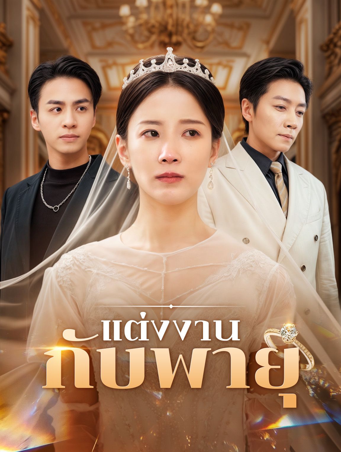 แต่งงานกับพายุ โปสเตอร์